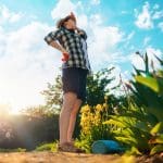 Murfreesboro Chiropractic for Gardening