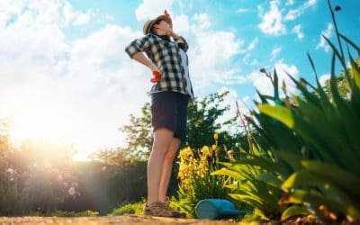 Planting the Seeds for Health: Chiropractic Tips for Murfreesboro’s Gardeners